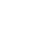 Phone Icon - White